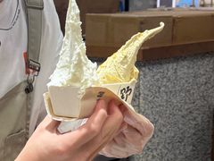 -野人先生Gelato(上海长宁龙之梦店)