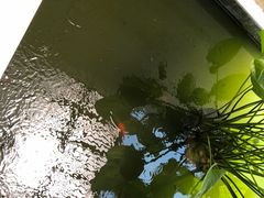 -普吉岛凯悦酒店