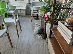 -小时光咖啡馆(北锣鼓巷店)