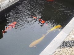 -西安市广仁寺