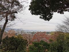 -常寂光寺
