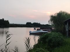 -合肥滨湖国家森林公园