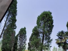 -上海滨江森林公园