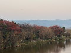-西昌邛海湿地