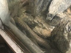 景观位-荔城生鲜盛宴(番禺旗舰店)