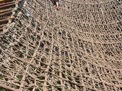 -呀路古热带植物园
