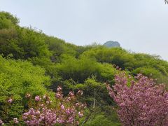 -少华山国家森林公园