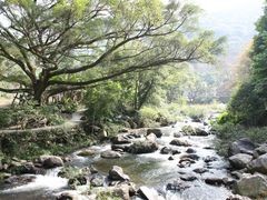 -广州市石门国家森林公园