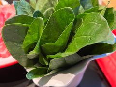 -南门四季铜锅涮肉(大屯·北苑店)