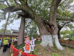 -新安江山水画廊风景区