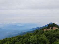 -白草畔自然风景区