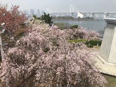 -台场海滨公园船码头