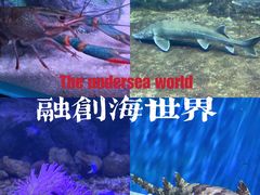 -南昌融创海世界