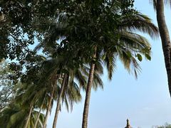 -中国科学院西双版纳热带植物园