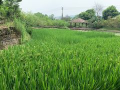 -驿舍·民國老营房院子私房菜(科学会堂店)