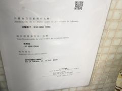 -洪馨椰子