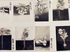 -大芬美术馆