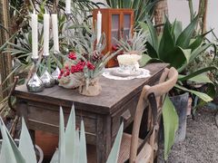 -禧室Joyous Lounge(禧园店)