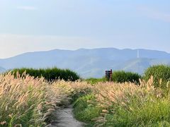 -良渚古城遗址公园