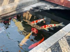 -西安市广仁寺