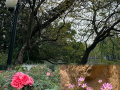 -荔湾区儿童公园