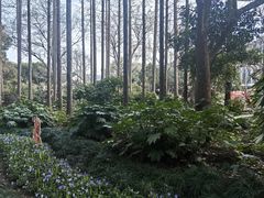 -上海醉白池公园