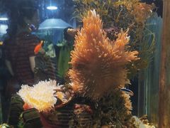 -太平洋海底世界