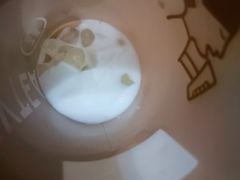 生打椰椰奶冻-喜茶(太原印象城店)