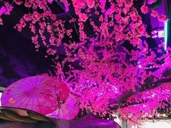 -韵秋荷(宝山龙湖天街店)