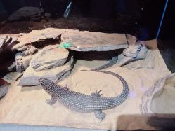 -Zoolung Zoolung动物主题公园(海信广场店)