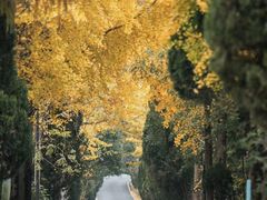 -莫干山风景区