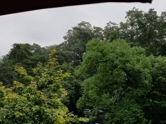 -龙井壹号·茶缘山景宴(龙井村店)
