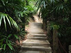 -深圳国际园林花卉博览园