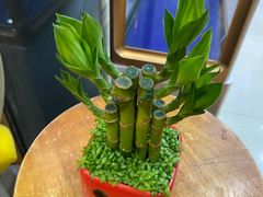 -双季花艺园艺市场(浦东店)