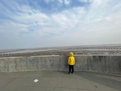 -南汇嘴观海公园