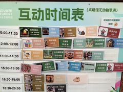 -正佳雨林生态植物园