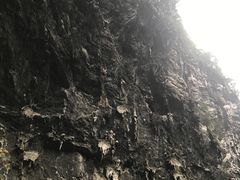 -百魔洞景区