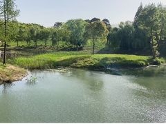 -贡湖湾湿地公园