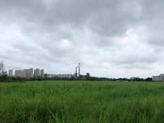 -澹台湖公园
