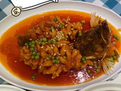 松鼠桂鱼-紫光园(劲松店)