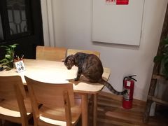 -猫的天空之城概念书店(杭州南宋御街店)