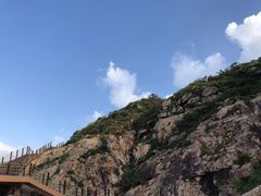 -广东惠东海龟国家级自然保护区