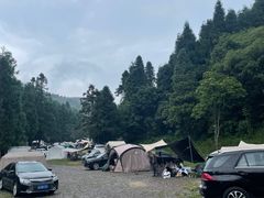 -武陵山森林公园