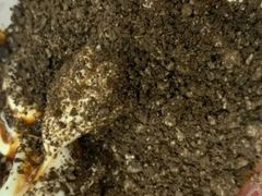 -蜜雪冰城·冰淇淋与茶(长郡中学店)