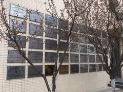 -北京市陈经纶中学分校