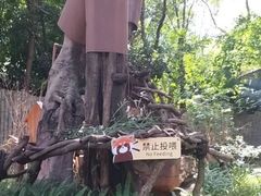 -深圳野生动物园