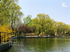 -济南植物园