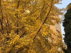 -辽宁大学(崇山校区)