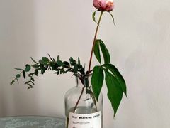 -成都恒博医院·全科检查