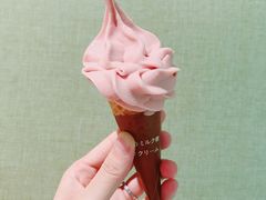樱花北海道冰淇淋-割烹旭日本料理(龙湖狮山天街店)
